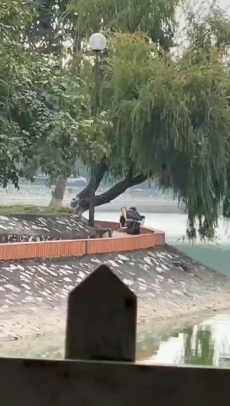 Pagi di Tepi Danau Ngentot Terekam Diam-diam