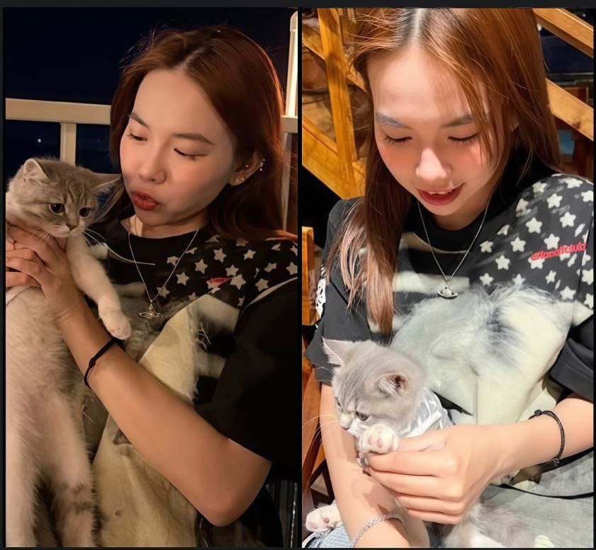 Seks Baru Bảo Ngọc yang Suka Pelihara Kucing dan Kasih Makan Kontol